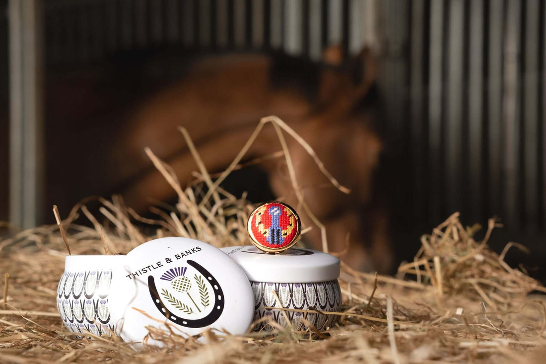 Thistle & Banks needlepoint jewelry resting on hay with a blurred horse in the background, showcasing equestrian elegance.